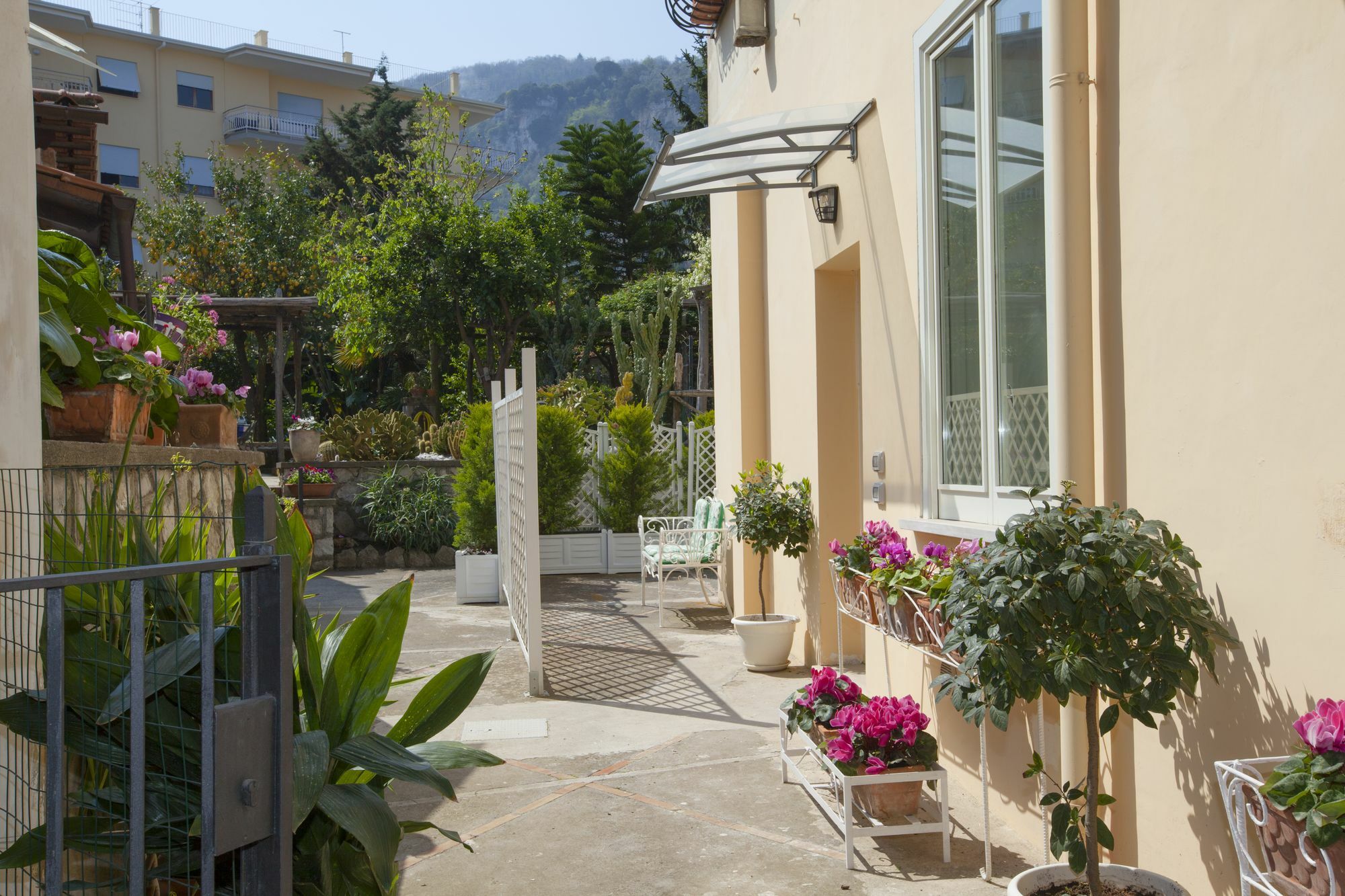 Dreaming Sorrento Suites Zewnętrze zdjęcie